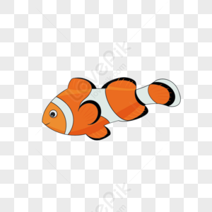 Cute clownfish png image free download and clipart image for free download