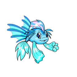 Fish gallery all species wiki
