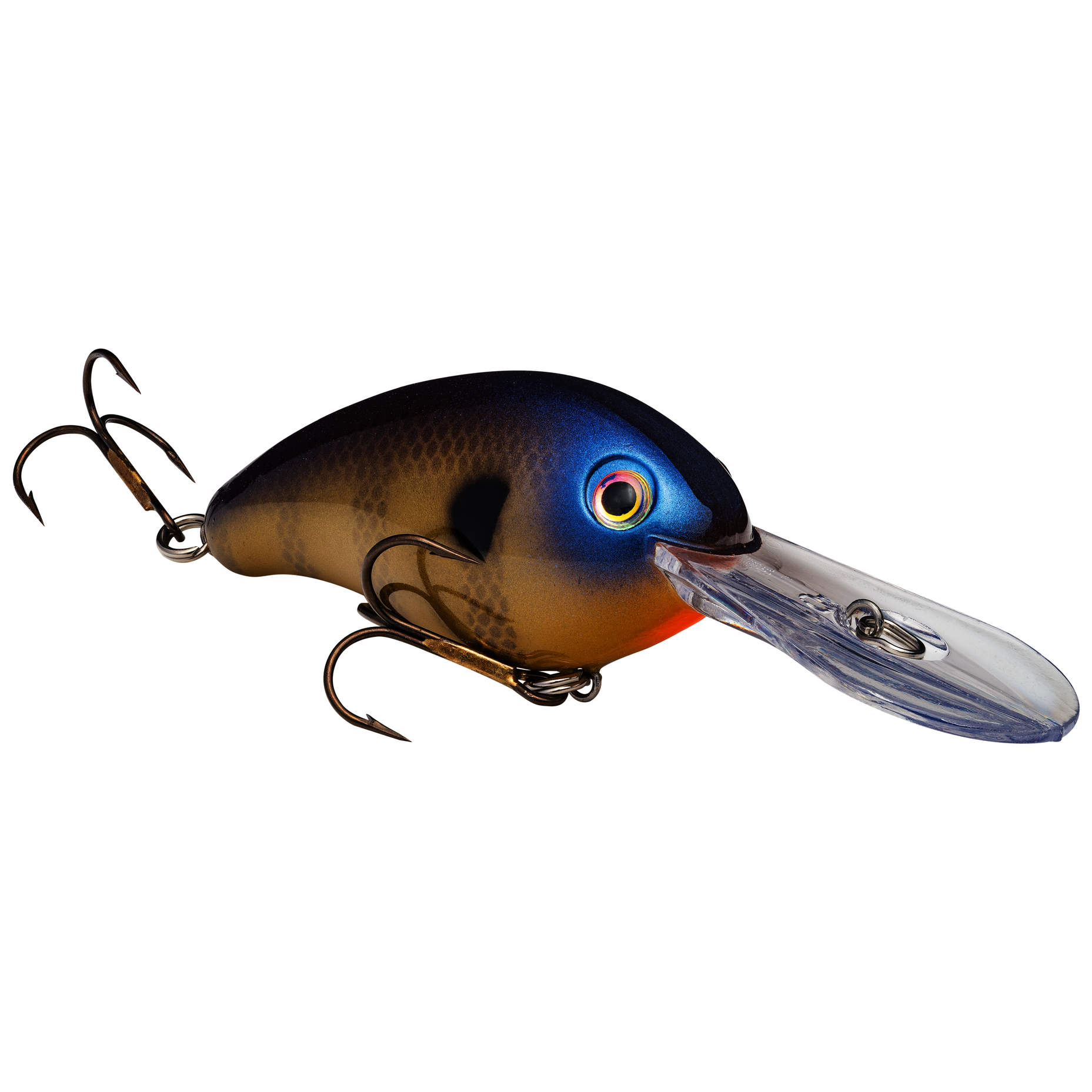 Pro model lucky shad crankbait strike king lure pany