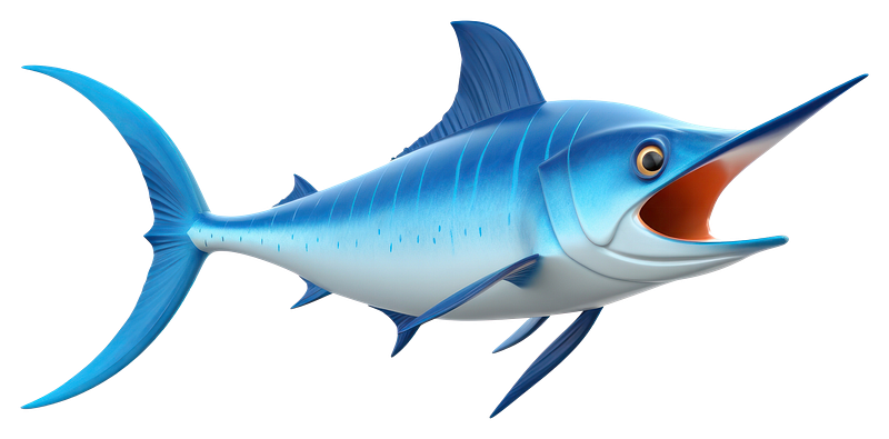 Marlin fish images free photos png stickers wallpapers backgrounds