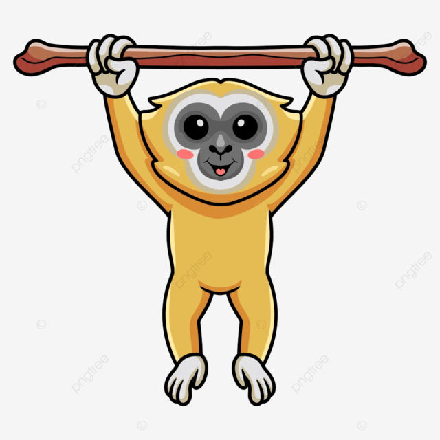 Cute little gibbon cartoon hanging on tree zoo rainforest jungle png and vector with transparent background for free download