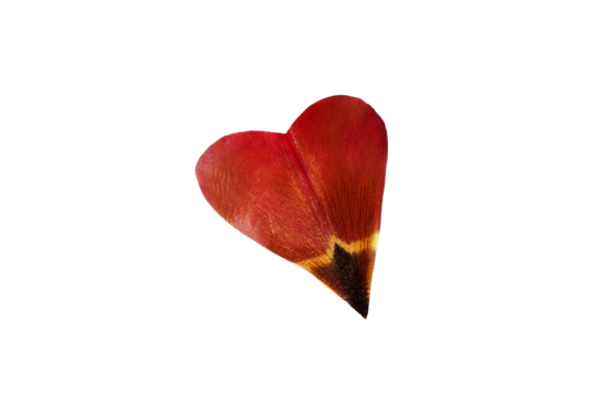 Heartshape png transparent images free download vector files