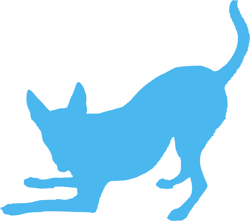 Playful dog silhouette