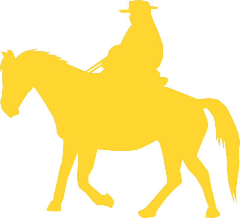Cowboy silhouette
