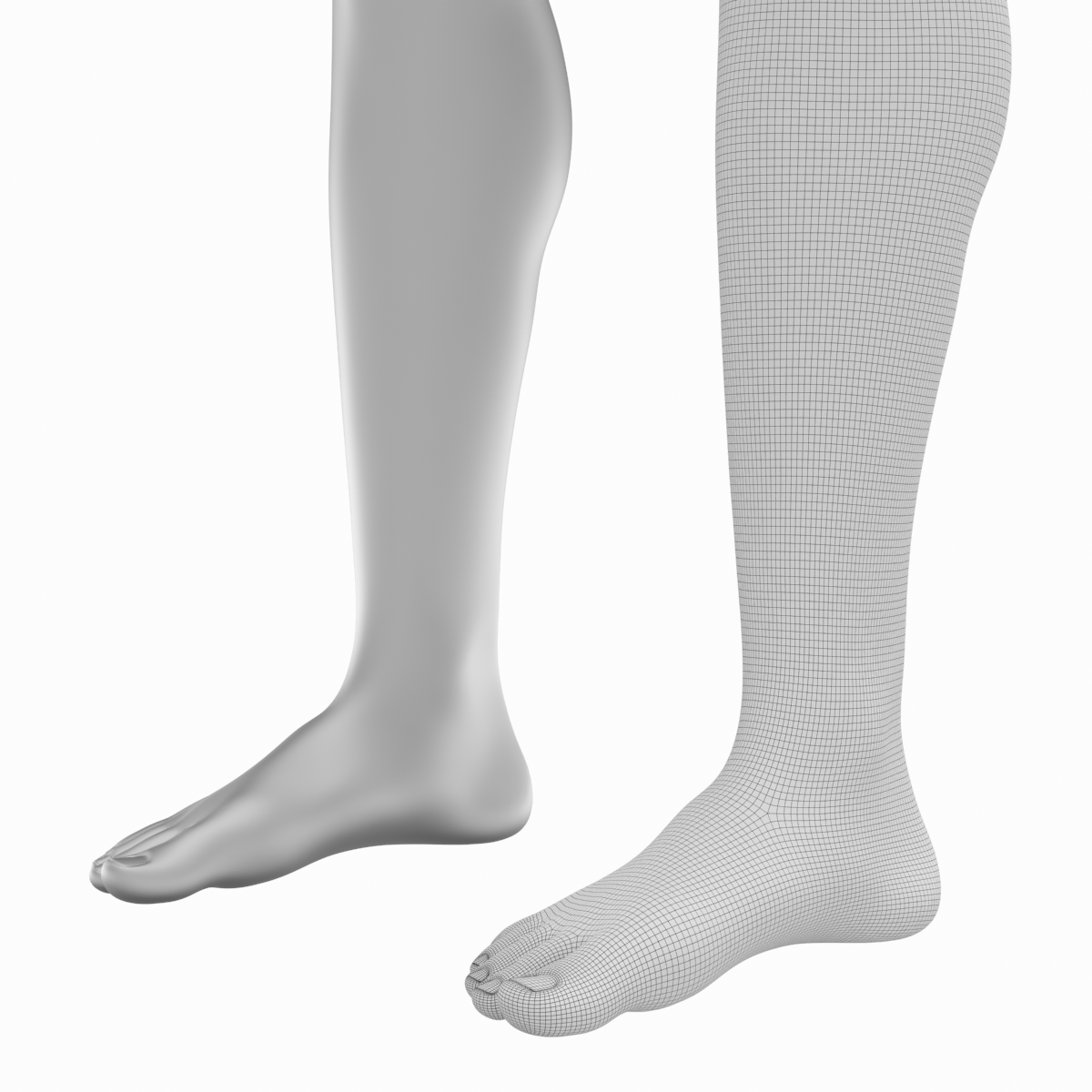 Female legs anatomical base mesh d model in woman
