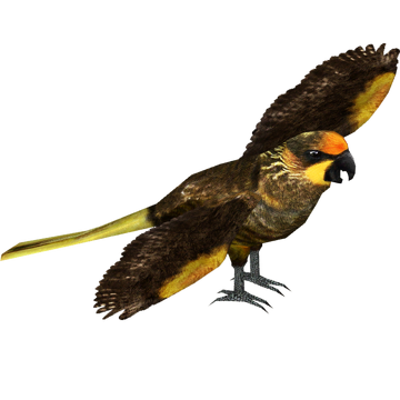 Brown lory titan zt download library wiki