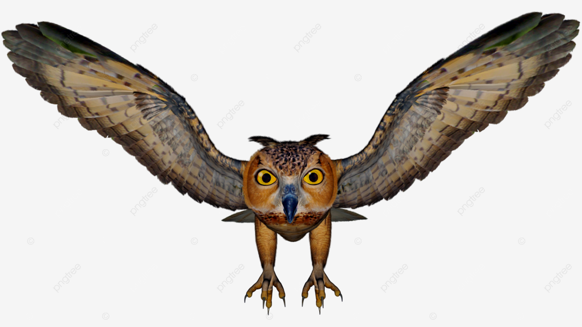 Eagle owl d render beak nature wild animal png transparent image and clipart for free download