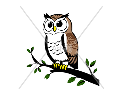 Vector owl projects photos videos logos illustrations and branding on