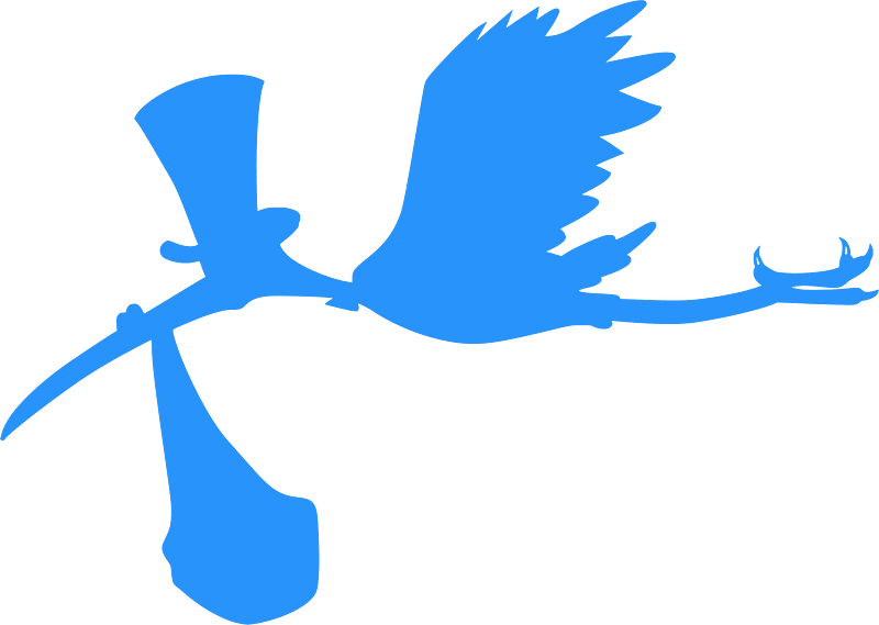 Stork bringing baby silhouette