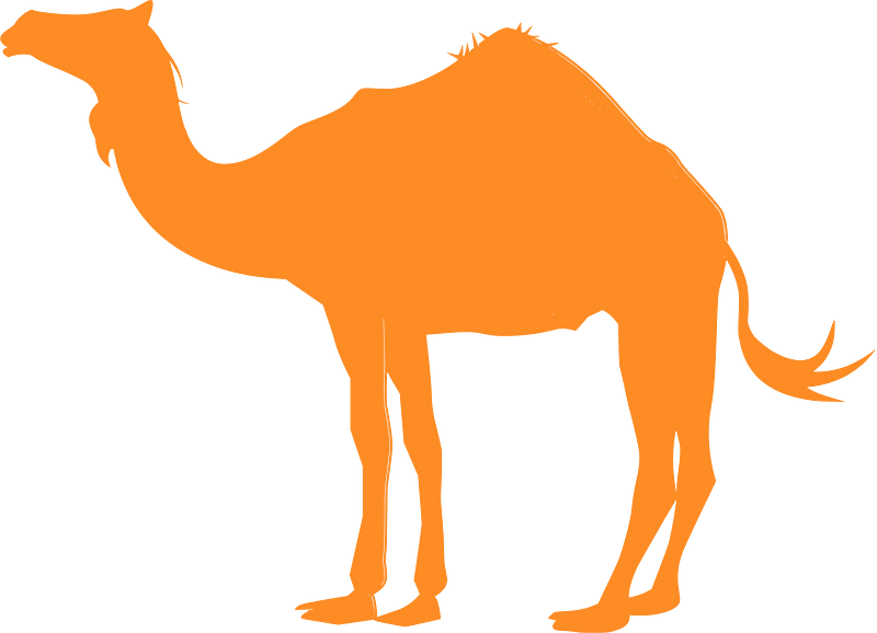 Camel silhouette