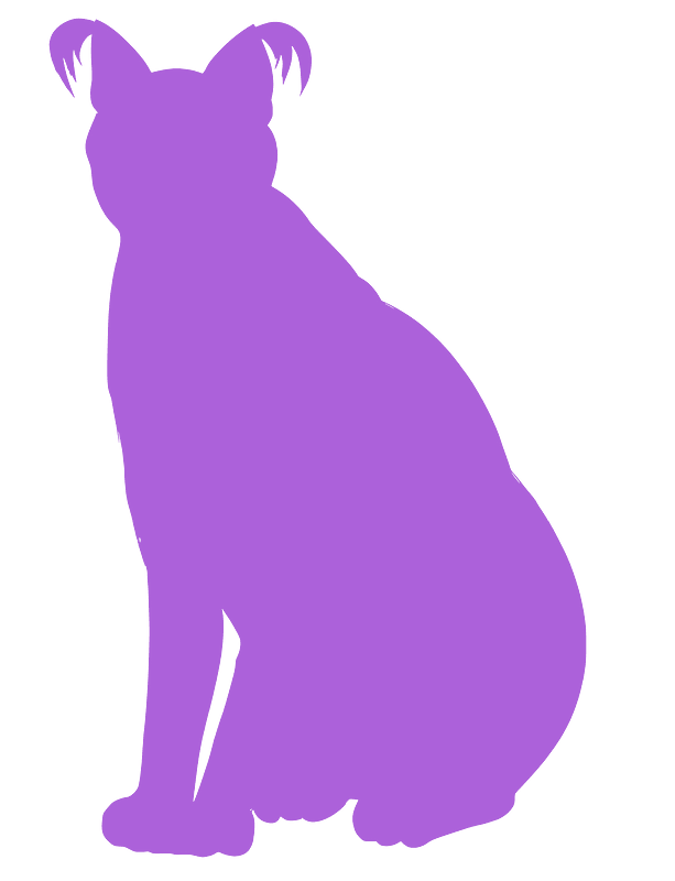 Caracal silhouette