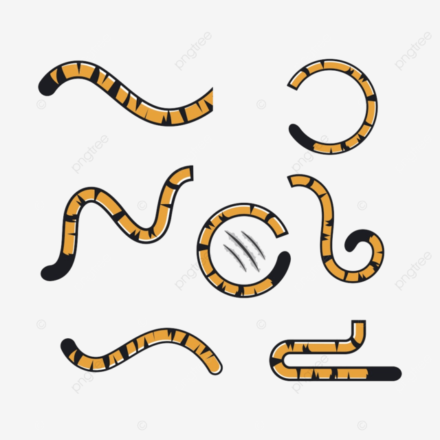 Tiger tail clipart transparent png hd tiger tail icon vector illustration design template scratch gradient tattoo png image for free download