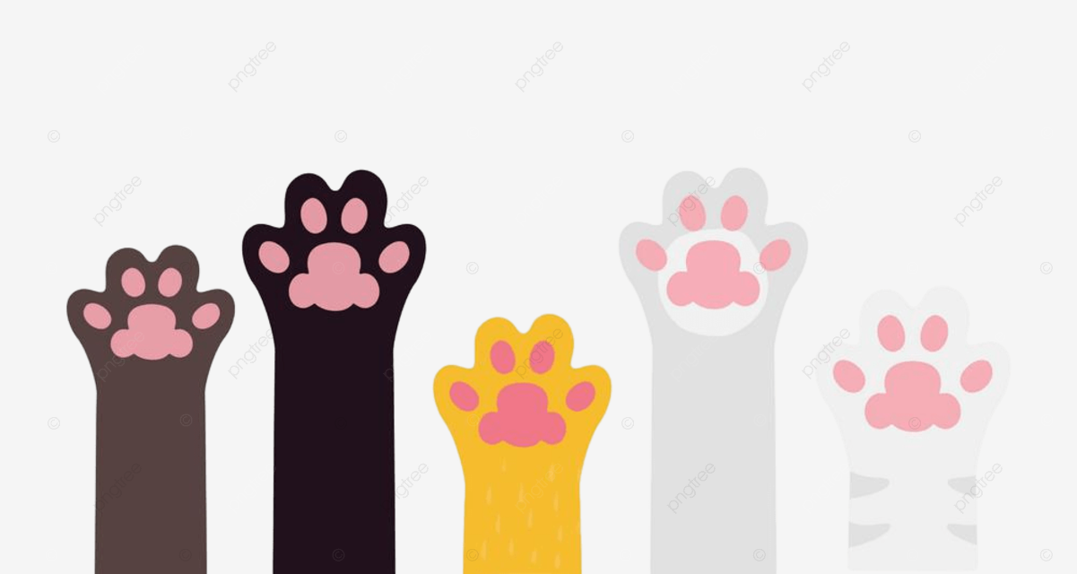Pet paw clipart png images cute pet paws rising up isolated on white background background raccoon isolated png image for free download
