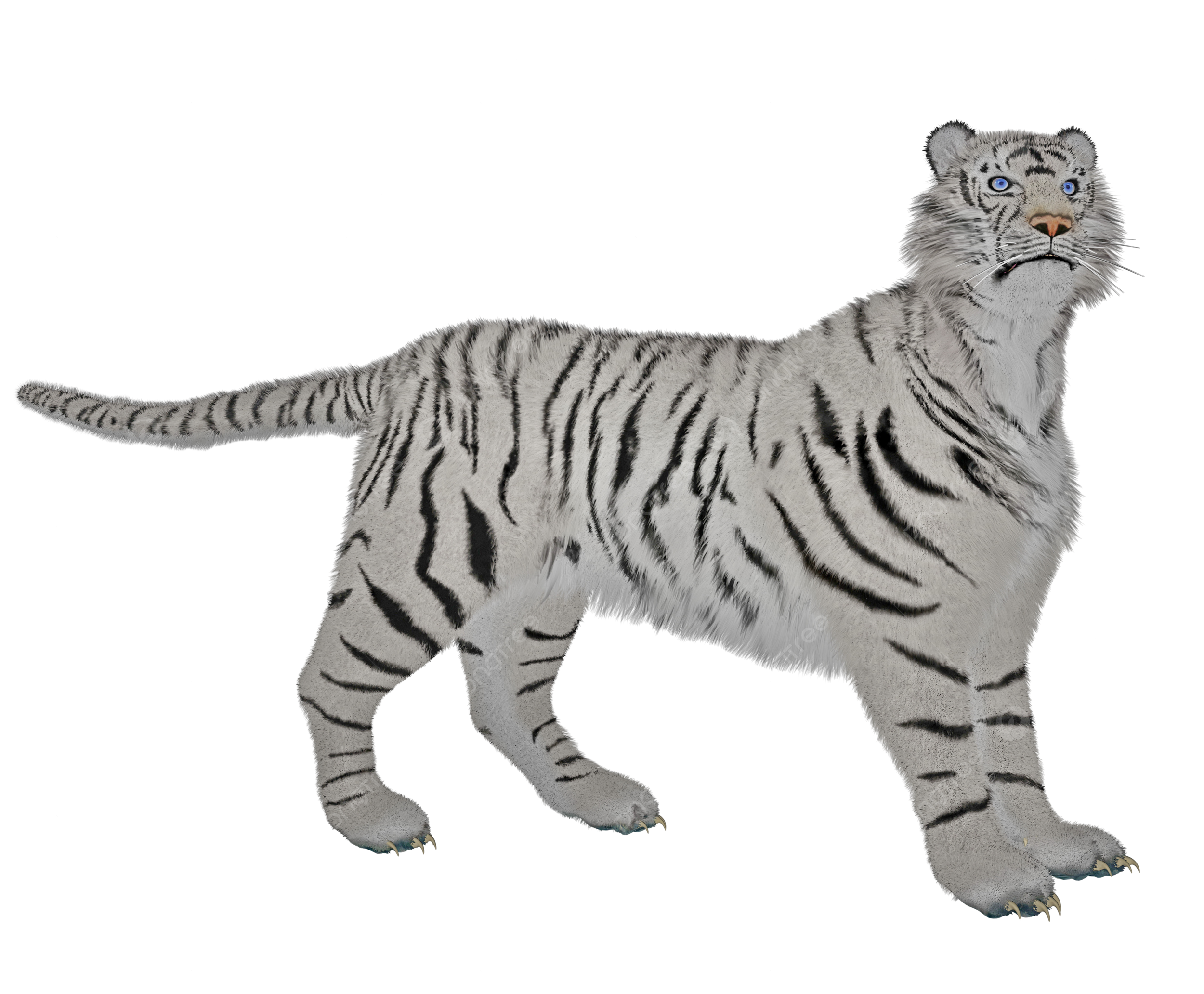 Walking in the wild png transparent images free download vector files