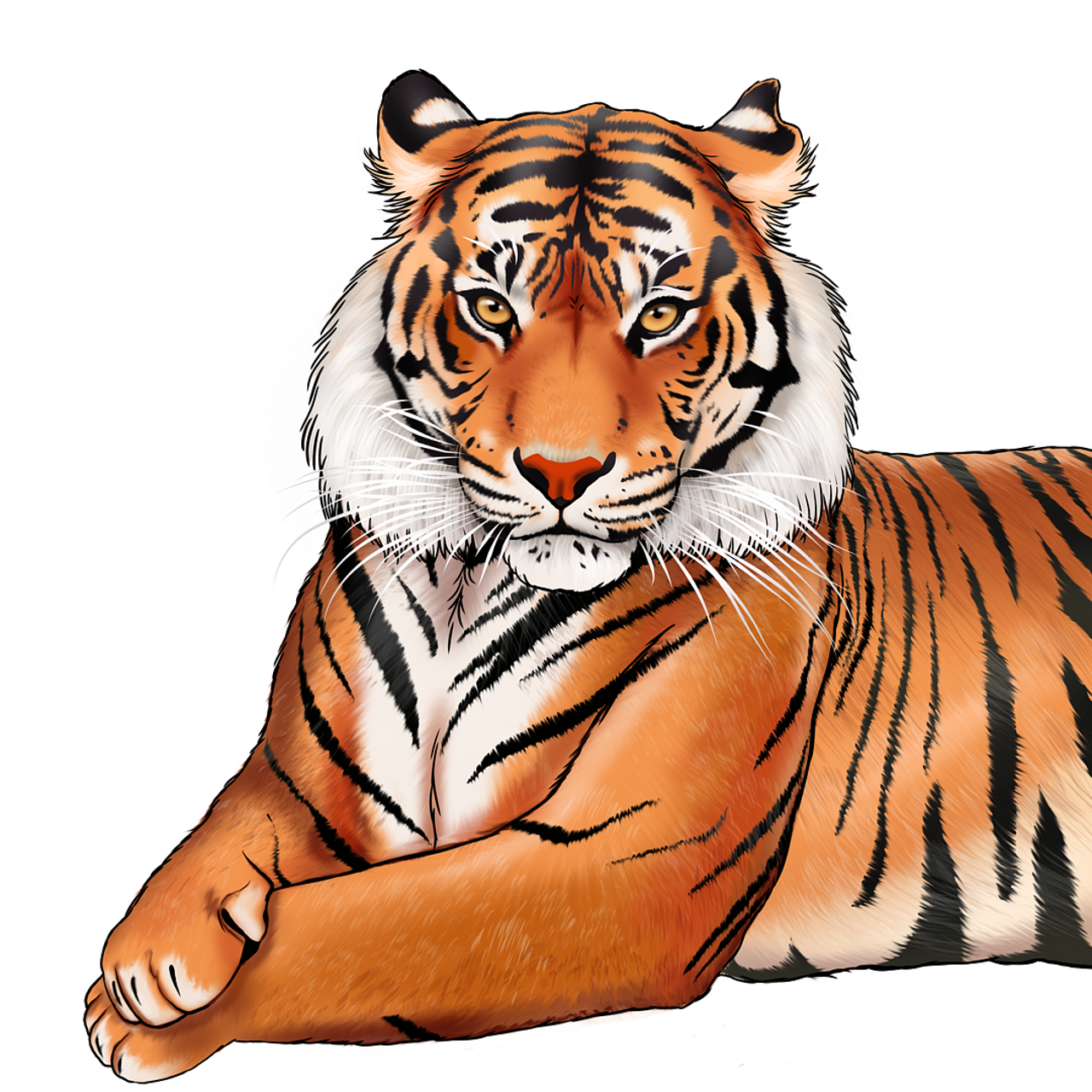 Tiger cartoon buy online a custom wildlife painting ðð ð