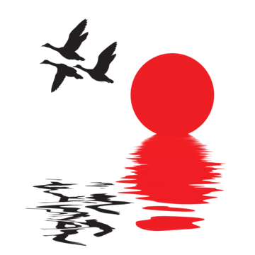 Flying duck png transparent images free download vector files