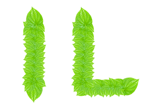 Green leaf background png transparent images free download vector files