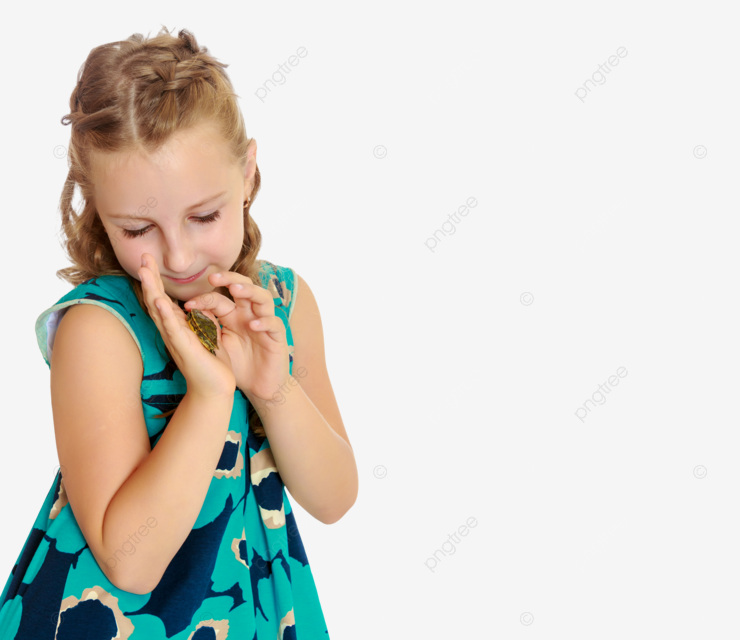 Small turtle held delicately in the hands of a little girl toddler fun turtle png transparent image and clipart for free download