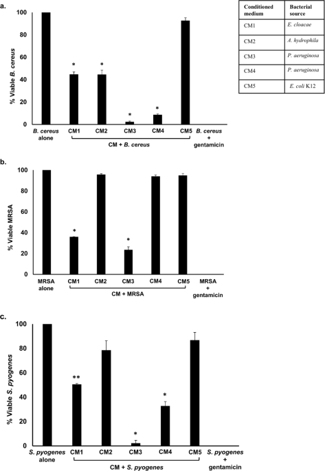 Gut bacteria of cuora amboinensis turtle produce broad