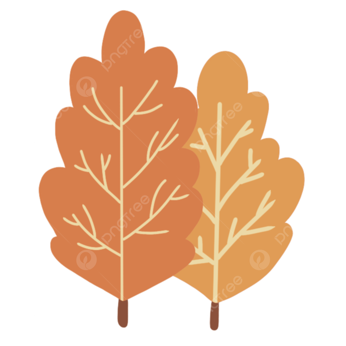 Spring leaf png vector psd and clipart with transparent background for free download