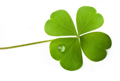 Bath mat shamrock