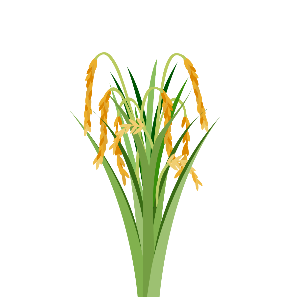 Free plant