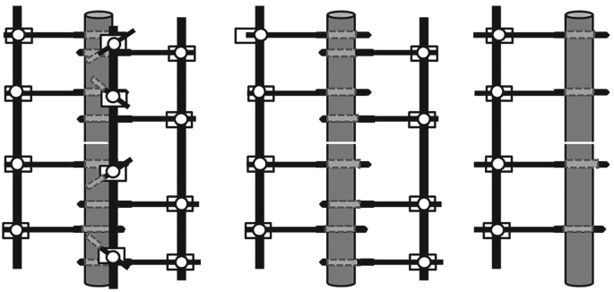 Principles of fracture fixation techniques