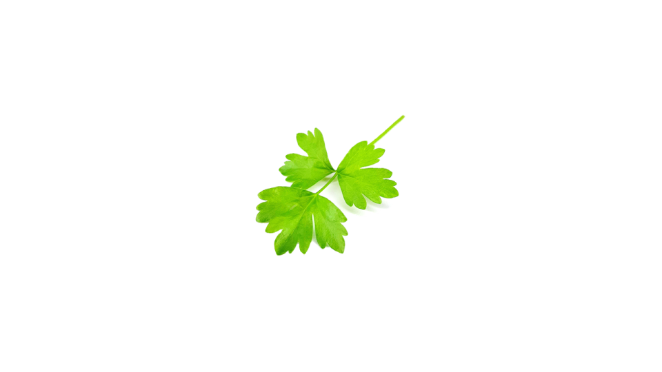 Celery