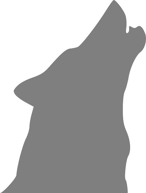 Free wolf vector art