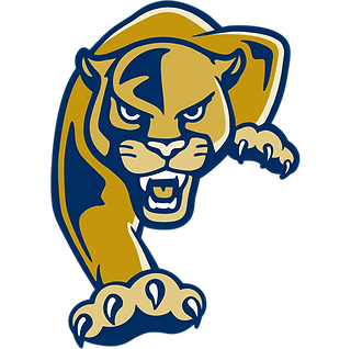 Nfl players durant football