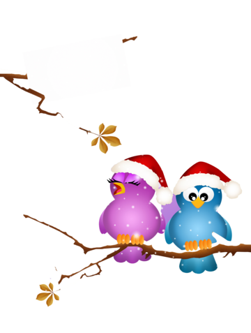 Funny bird png transparent images free download vector files