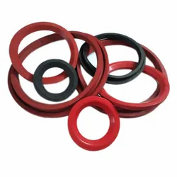 Softex insert seal for dome valve