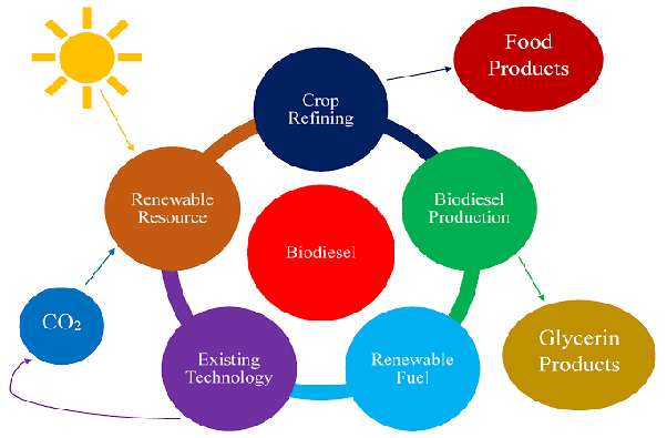 Which material is best for producing biodiesel and plete calculations