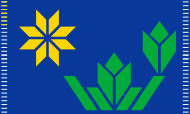 Flag of minnesota