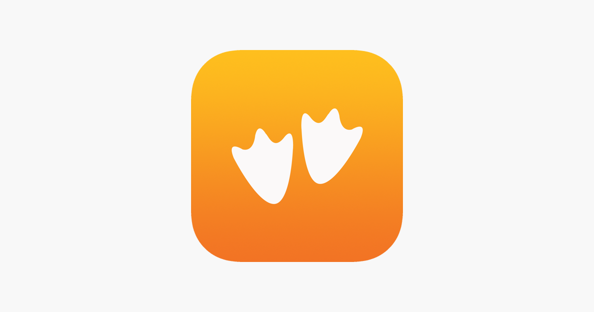 Goosechase family reunion helper