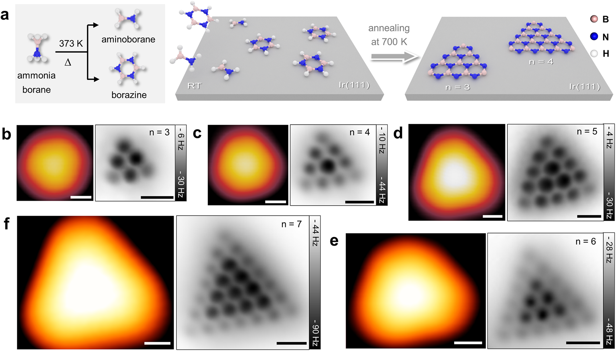 Unidirectional alignment and orientation pinning mechanism of h