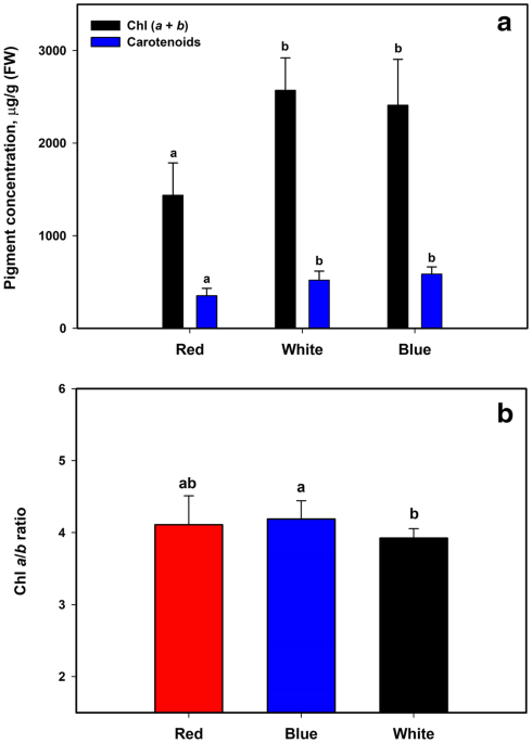 Changes in the photosynthesis properties and photoprotection capacity in rice oryza sativa grown under red blue or white light photosynthesis research