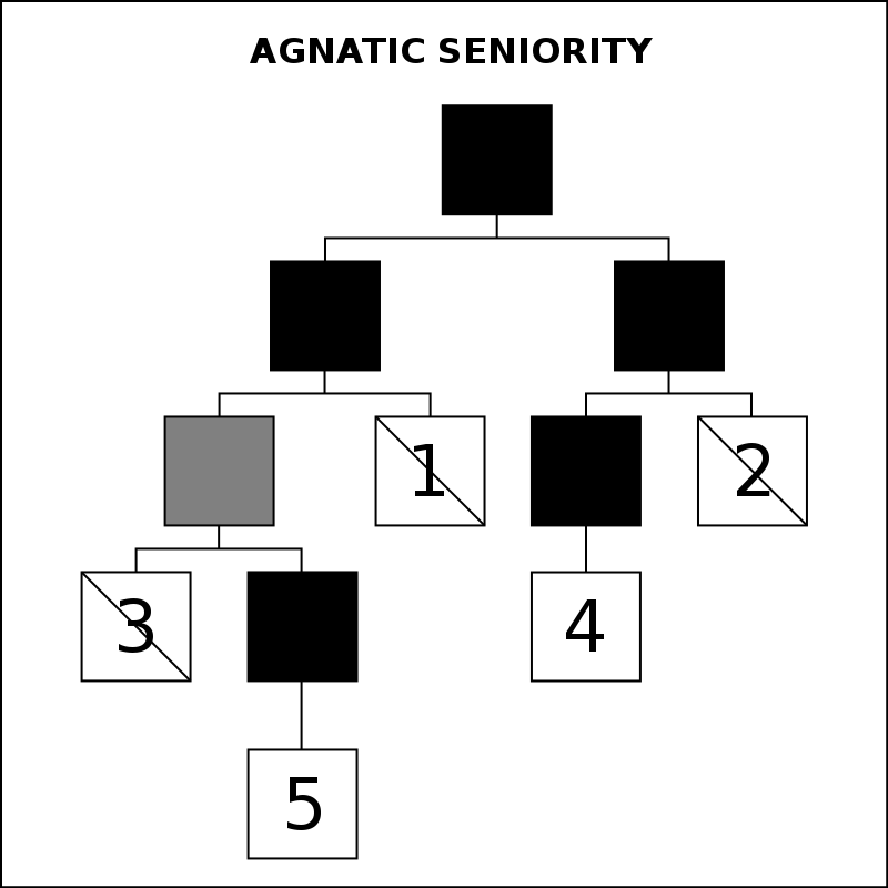 Agnatic siority