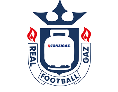 Gaz projects photos videos logos illustrations and branding on