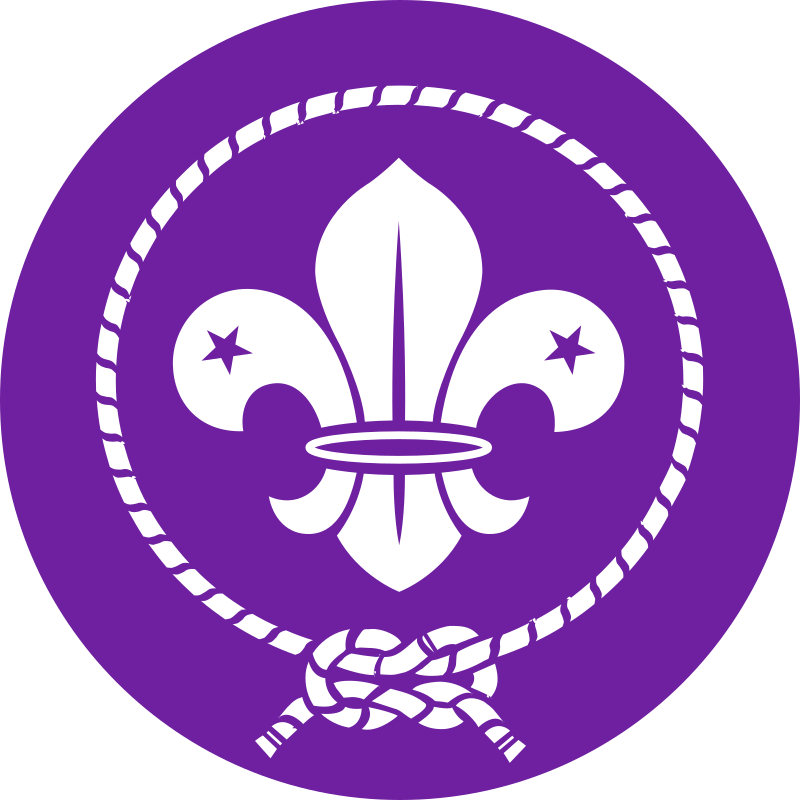 World scout emblem