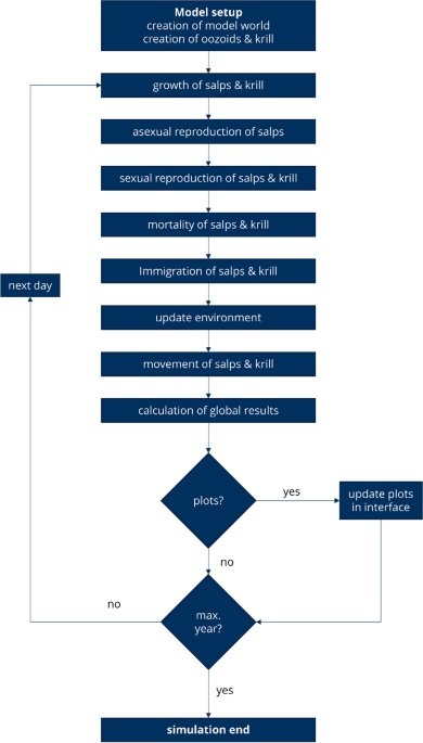 The impact of salps salpa thompsoni on the antarctic krill population euphausia superba an individual