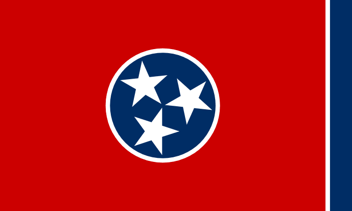 What do we think of flags that only have one central object i cant say im a fan personally rvexillology