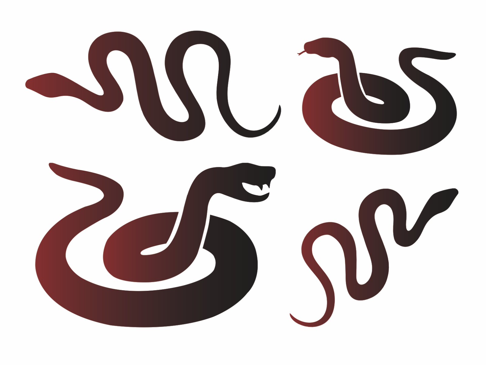 Joanie snakes stencil southwest decor western reptile desert diy craft signs
