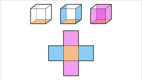 D shapes and nets