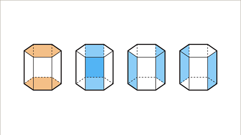D shapes and nets