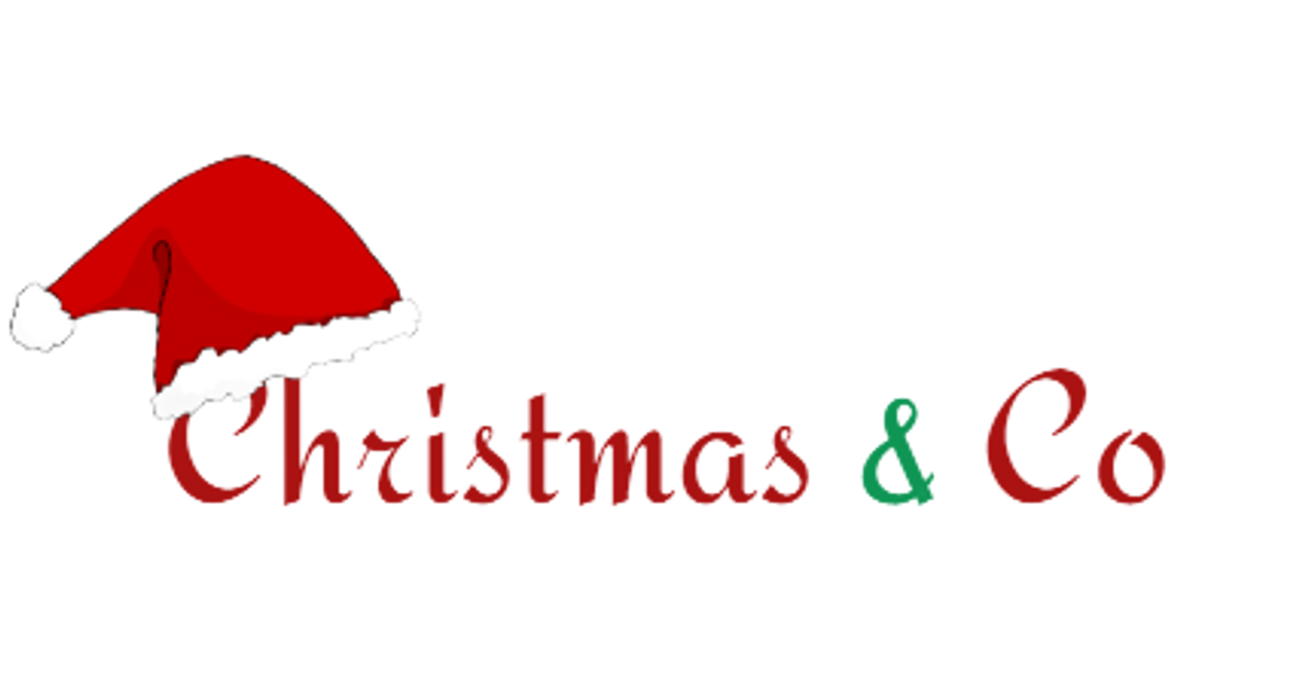 Shopify stores that launched on december