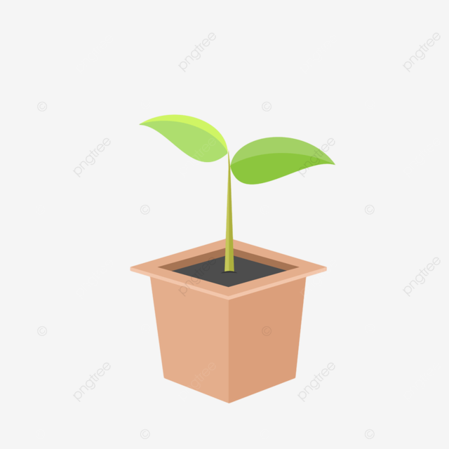 Tree in pot plant gardening plant ecology pattern png and vector with transparent background for free download