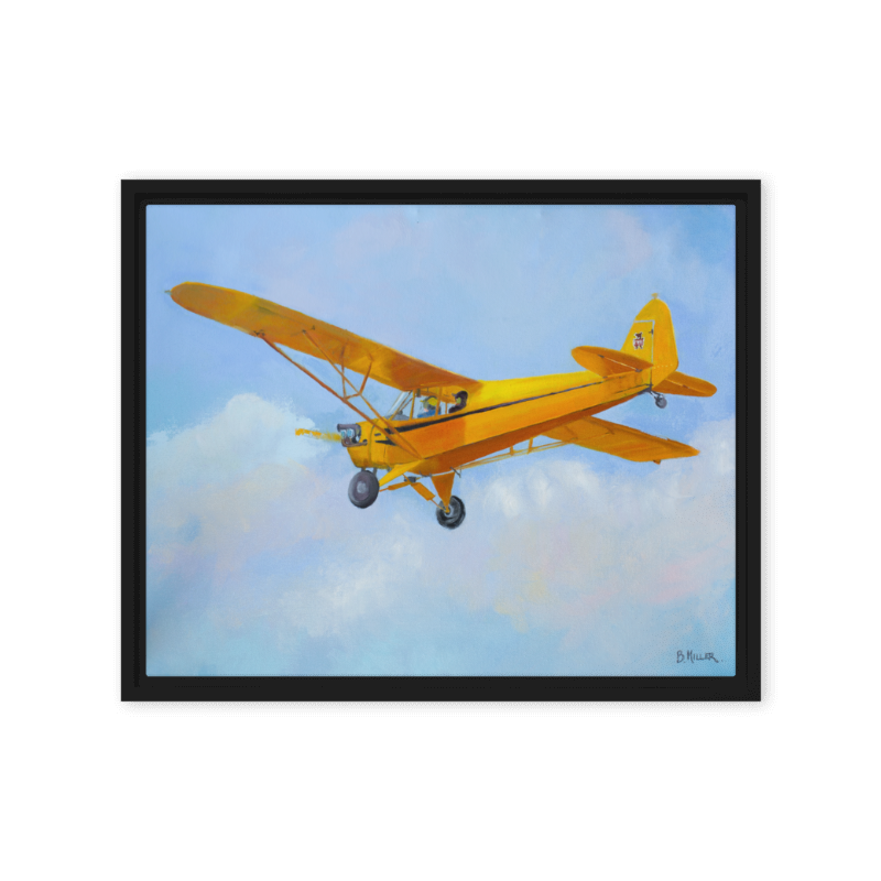 Buy airplane and aviation paintings plane air art