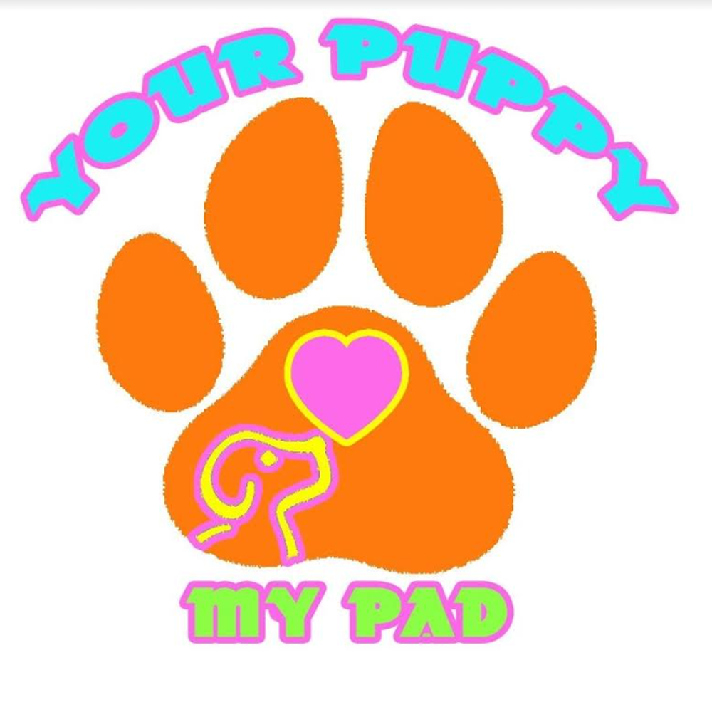 Top best dog daycare in wesley chapel fl