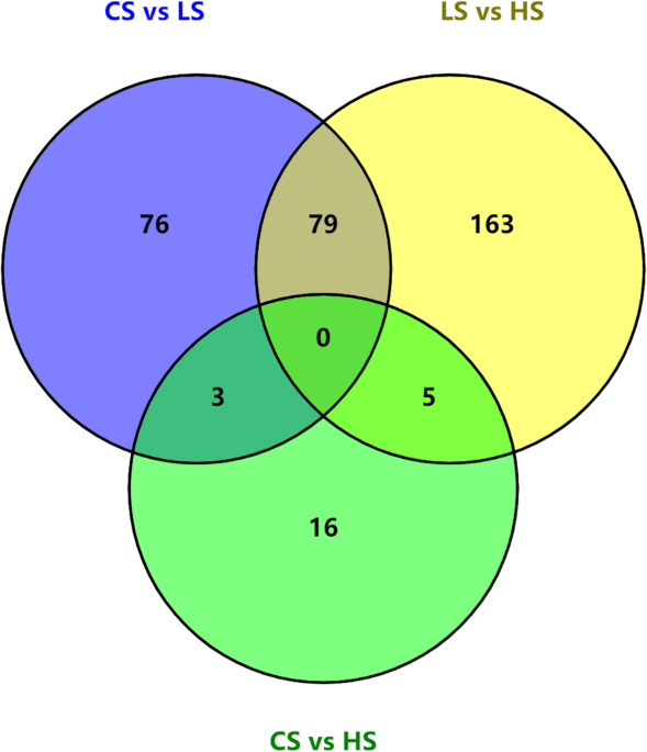 Mrna profile provides novel insights into stress adaptation in mud crab megalopa scylla paramamosain after salinity stress bmc genomics full text